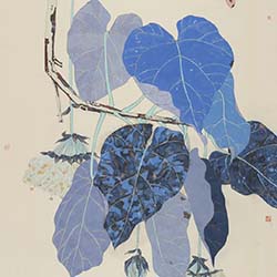 热带写生重彩系列——淡淡的非洲芙蓉花90x63cm2020